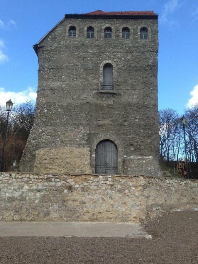 Ratstrasse Im Kyffhaeuser - Krumm & Schief Apartamento Bad Frankenhausen Exterior foto